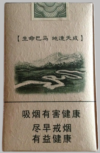 真龙(巴马天成)首场推介会在南宁举行