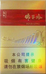 home banner